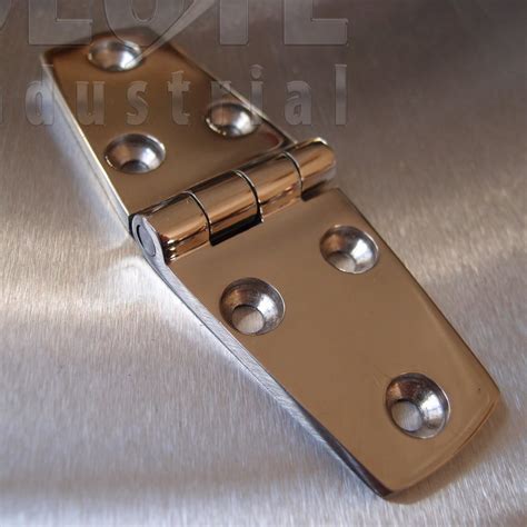 type 316 stainless steel hinges